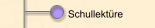 Schullektüre